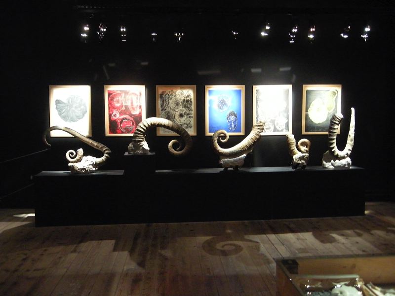 dscn2338.jpg