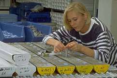 Geoscientist taking core samples