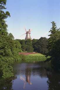 Windmill on the Wall